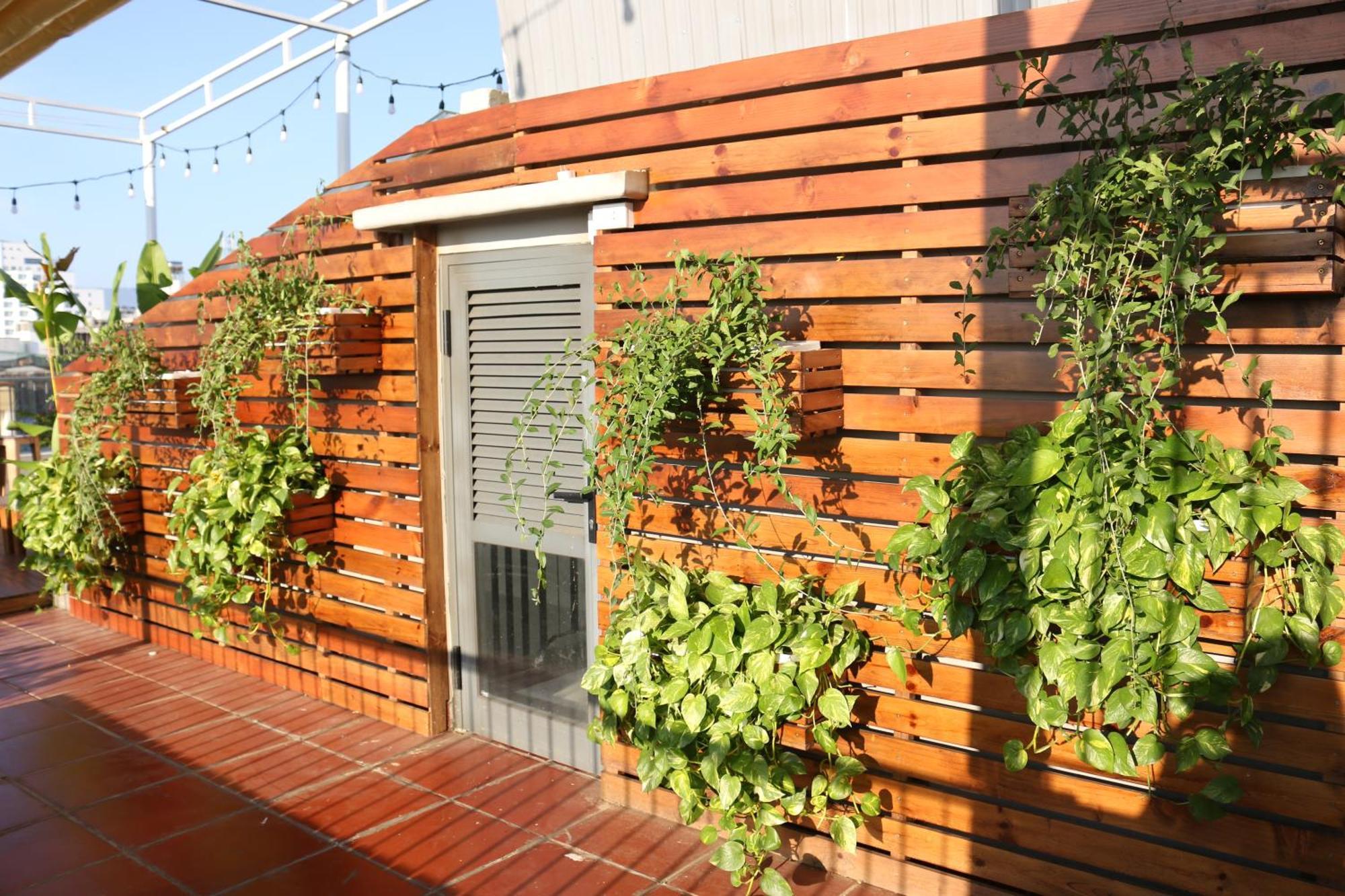 Mira De Sol Homestay ดานัง ภายนอก รูปภาพ